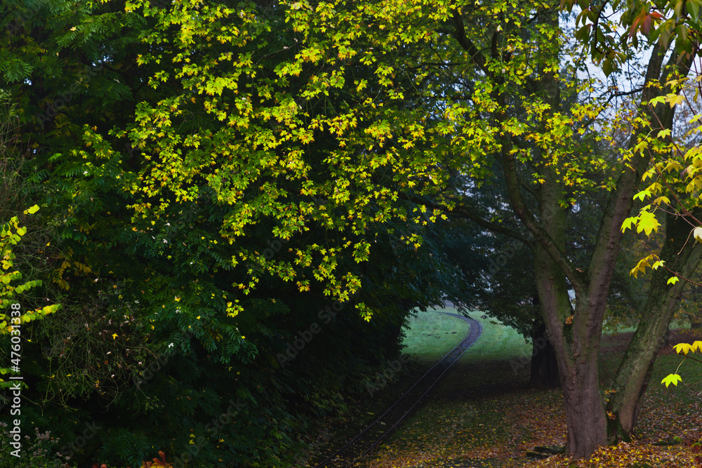 autumn in the park autumn in the park