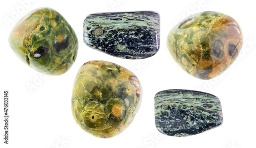 set of various rainforest jasper stones on white photo
