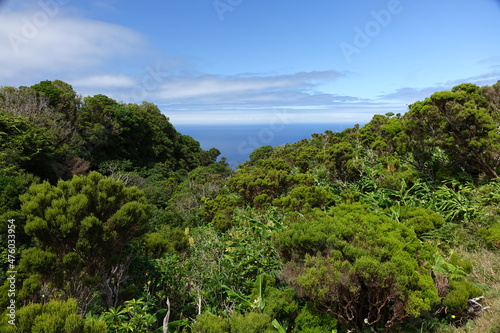 Breathtaking scenic view on lush vegetation and the endless Atlantic Ocean between Ponta Delgada and Faja Grande, Flores, Azores, Portugal (horizontal image)