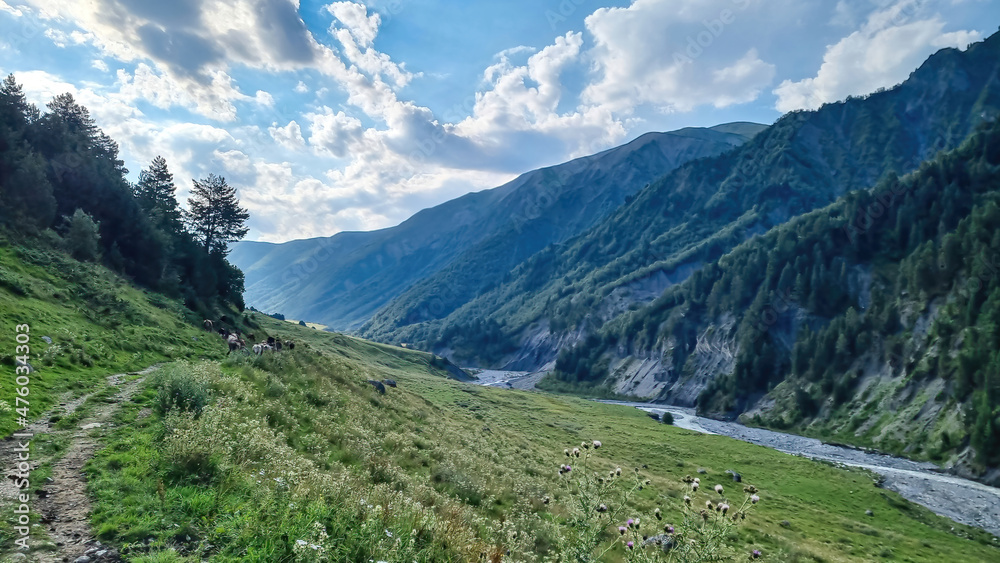 Fototapeta premium A hiking trail along the Adishischala river, located in Greater Caucasus Mountain Range in Georgia, Svaneti Region. The early morning sun beams are touching is touching the path. Wanderlust