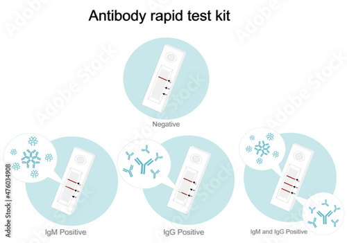 The result of antibody rapid test kit or lateral flow test (immunochromatography technique) that separated interpretation of negative or positive : IgM, IgG, the both of IgM and IgG.