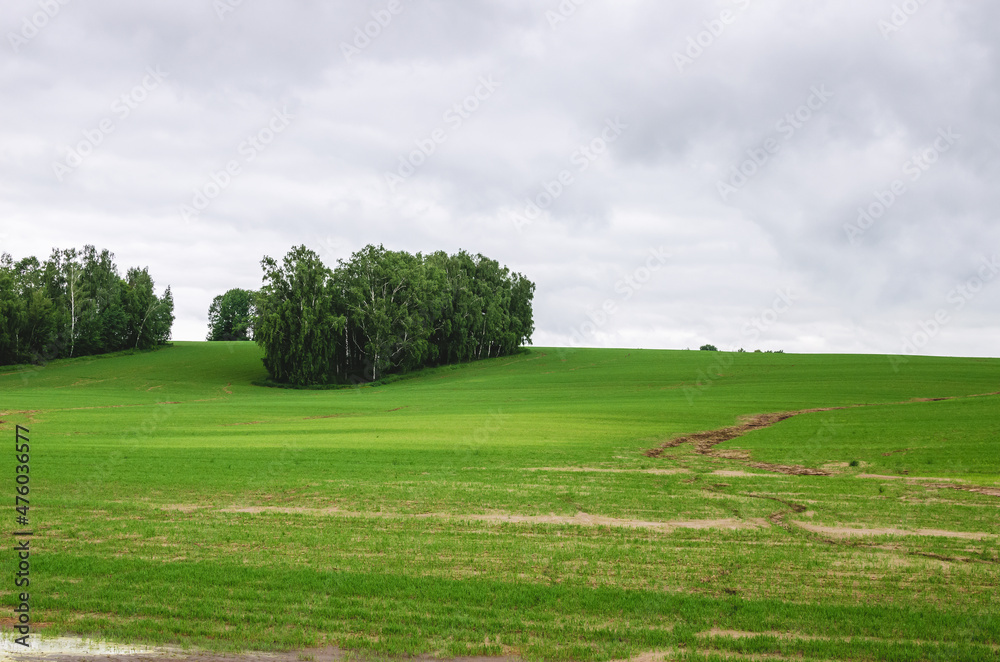 Forest plantations on the slope to protect soil damage from field erosion