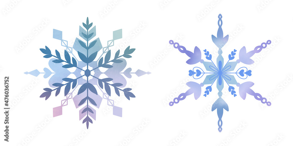 Snowflake winter set of blue pink purple gray isolated icon on white background  illustration