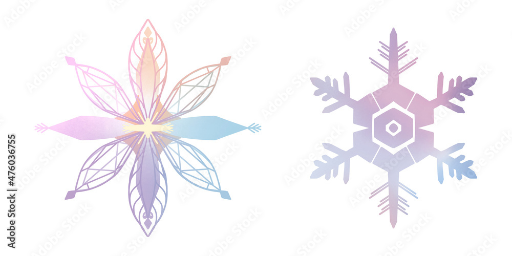 Snowflake winter set of blue pink purple gray isolated icon on white background  illustration