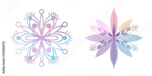 Snowflake winter set of blue pink purple gray isolated icon on white background illustration