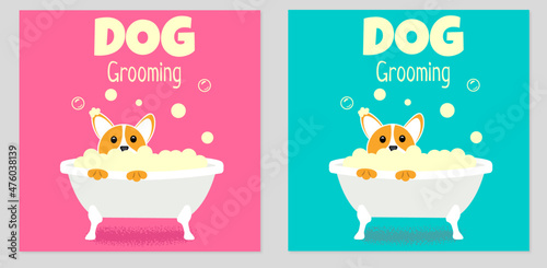 Dog Grooming Salon Poster Illustration