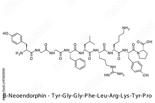 Beta Neoendorphin biomolecule molecular formula. Skeletal molecule structure vector eps10.