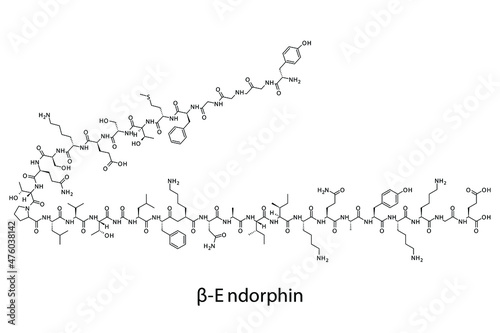 Beta Endorphin biomolecule molecular formula. Skeletal molecule structure vector eps10.