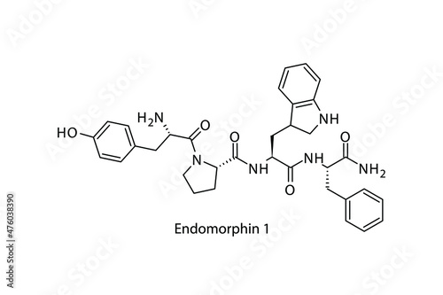 Endomorphin 1 biomolecule molecular formula. Skeletal molecule structure vector eps10. photo