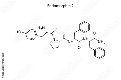 Endomorphin 2 biomolecule molecular formula. Skeletal molecule structure vector eps10.