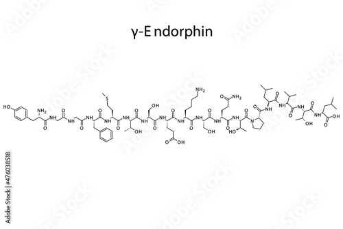 Gamma Endorphin biomolecule molecular formula. Skeletal molecule structure vector eps10.