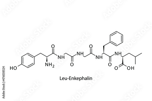 Leu Enkephalin biomolecule molecular formula. Skeletal molecule structure vector eps10.