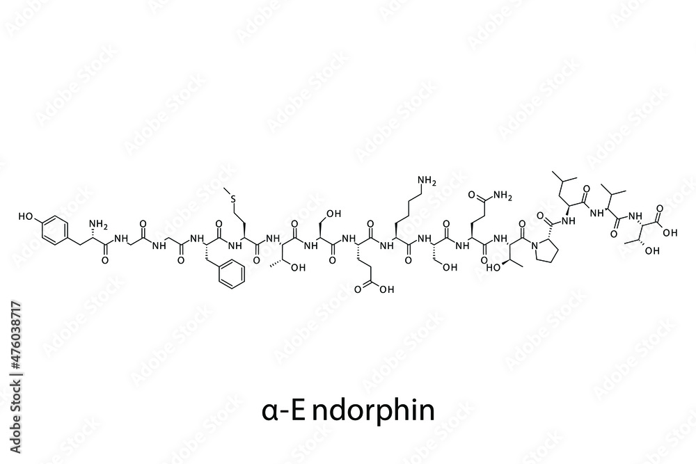Alpha Endorphin biomolecule molecular formula. Skeletal molecule structure vector eps10. Alpha Endorphin biomolecule molecular formula. Skeletal molecule structure vector eps10.
