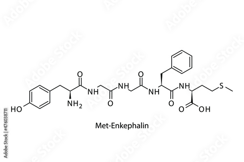 Met Enkephalin biomolecule molecular formula. Skeletal molecule structure vector eps10.