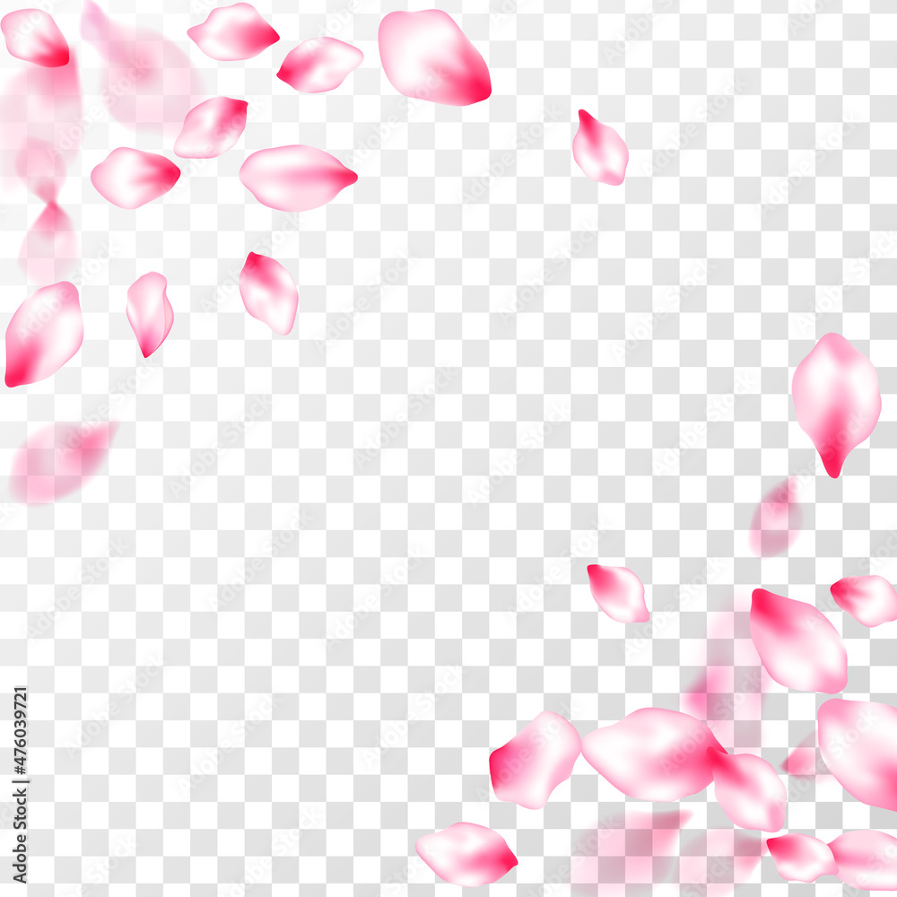 Japanese cherry blossom pink flying petals