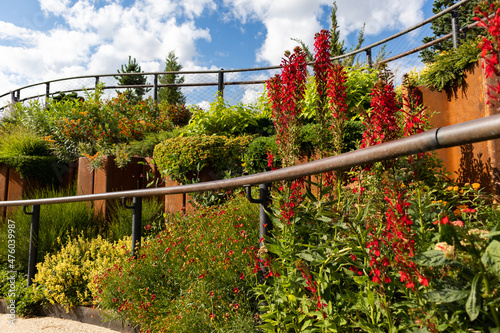 Photography Beautiful Plants and Flowers at Little Island during the Summer in New York City