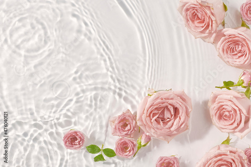 Pink roses in water, top view, copy space. Minimal nature background. Mother's day Or Valentines idea.