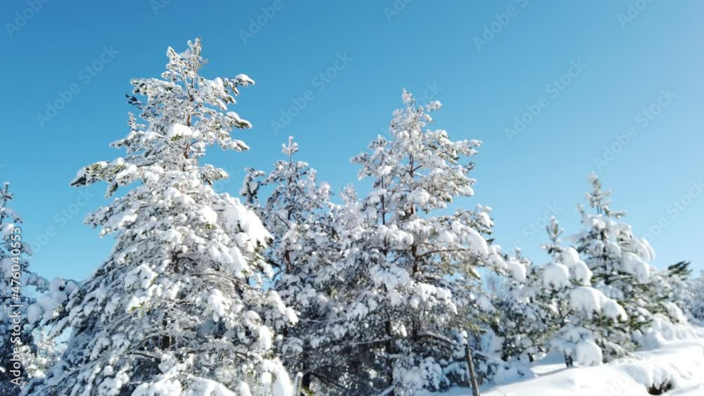 Idyllic snow scene on Mountain Divcibare, Serbia Idyllic snow scene on Mountain Divcibare, Serbia