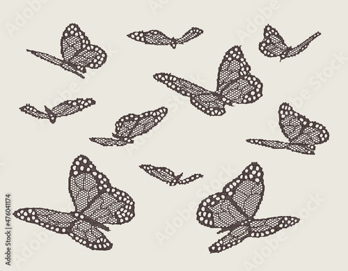 Group of Lace butterfly pattern isolated on background.
