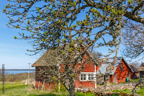 Spring buds on the tree branches at spring © Lars Johansson