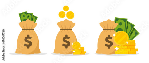 Money bag, dollar coins and banknotes in flat vector illustration. photo