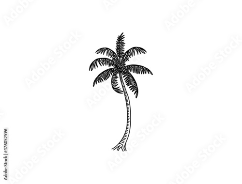 Hand drawn of palm tree vector illustrations