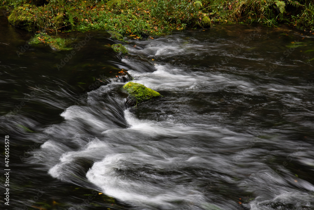 Fototapeta premium Reißender Bach mit einer Insel aus Moos.