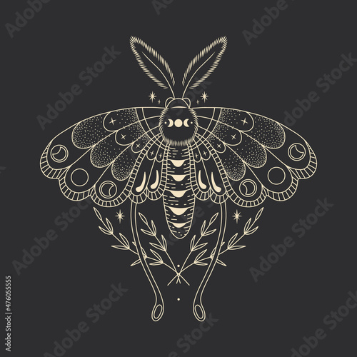 mystical illustration of a butterfly or moth. mysterious night in a secret garden. magic aesthetics, wildlife, retro vintage engraving style