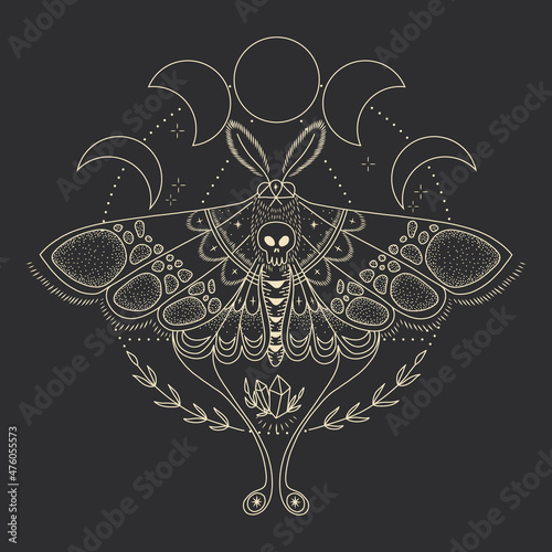 mystical illustration of a butterfly or moth. mysterious night in a secret garden. magic aesthetics, wildlife, retro vintage engraving style
