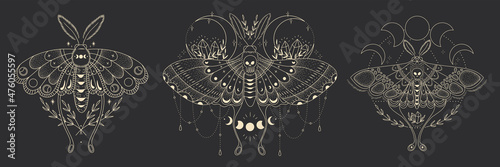 mystical illustration of a butterfly or moth Fototapet