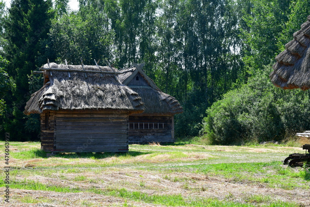 Obraz premium A view of an old wooden hut or shack made out of wood standing in the middle of a dense orchard or forest, seen during a sunny summer day during a hike on a Polish countryside
