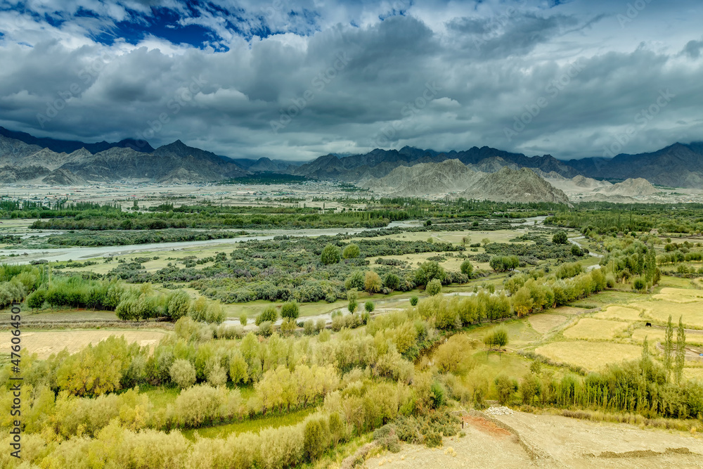 Aerial view of Leh City, green landscape with ice peaks , blue sky with clouds in background , Ladakh, Jammu and Kashmir, India.