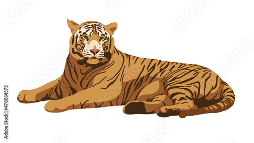 Tiger hand drawn illustration. Red tiger isolated on white. Symbol of Chinese New Year. Big wild cat, feline animal, predator. Bengal, Siberian tiger. African, Savannah wildlife	