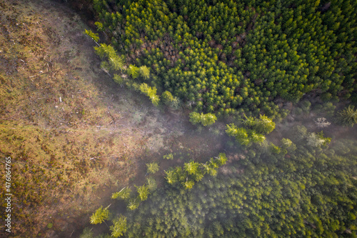 Deforestation in woodland in Pacific Northwest, aerial.
