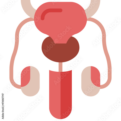 reproductive system flat icon