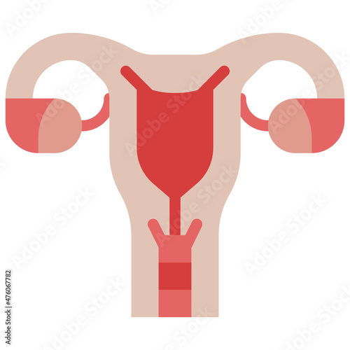 uterus flat icon