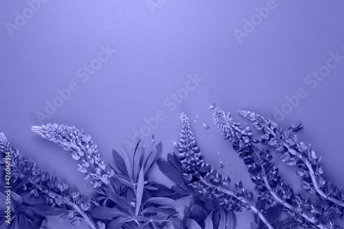 Background with flowers and...