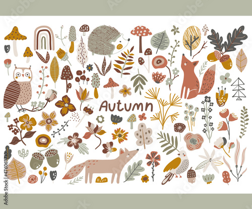 Autumn collection with fox, owl, forest elements. mushroom, leaves. Floral fall vector clipart.