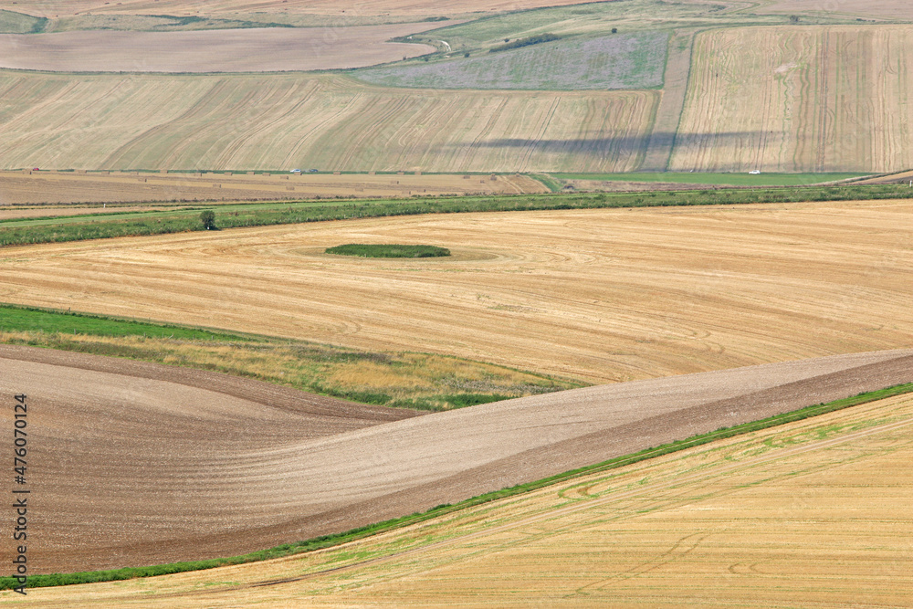 Fields of the Pewsey Vale, Wiltshire at harvest
Fields of the Pewsey Vale, Wiltshire at harvest