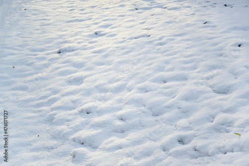 Snow covered lawn as an abstract background texture, concept for winter, weather and nature, copy space