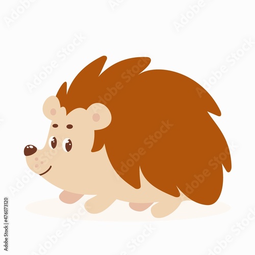 Vector illustration of cartoon cute hedgehog isolated on the white background. Forest animal. Modern flat design.