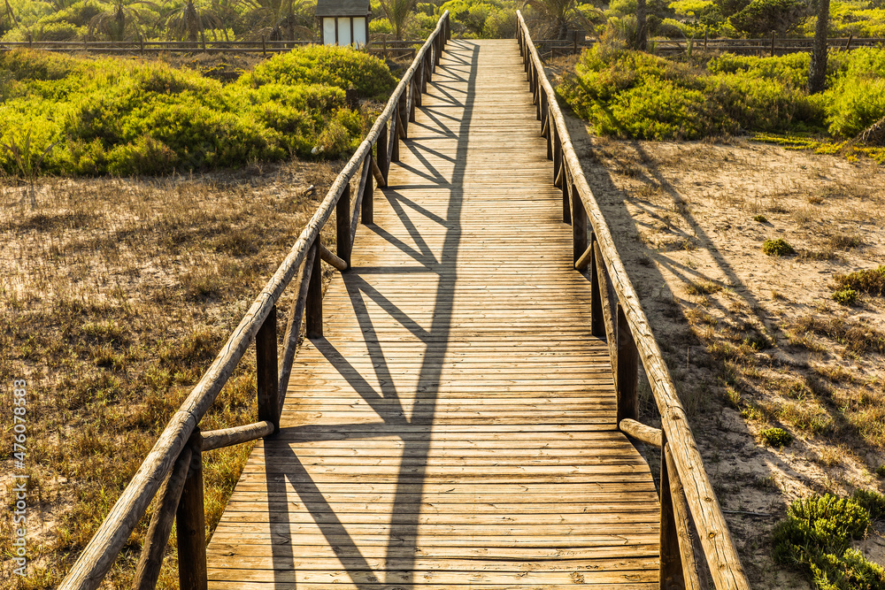wooden footbridge over sand and vegetation in Guardamar del segura at sunset , Alicante.Spain wooden footbridge over sand and vegetation in Guardamar del segura at sunset , Alicante.Spain