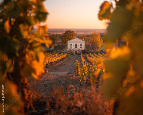Nice house at the vineyards...