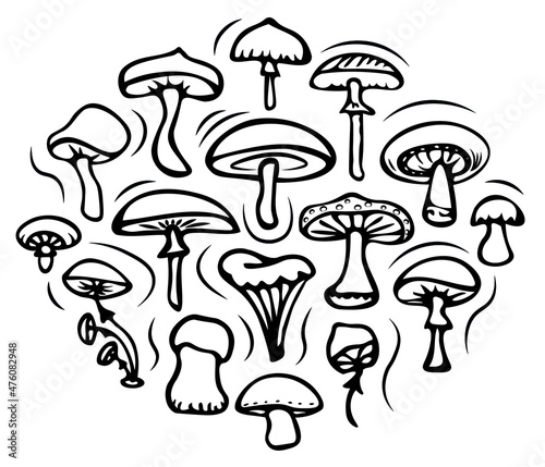 A set of simple doodle mushrooms of different types (honey agarics, toadstools, chanterelles). Black contour isolated on white background. Vector. Coloring book for children theme of autumn.