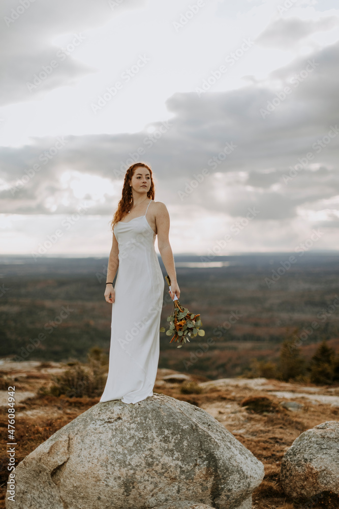 beautiful bride in wedding dress stands on top of giant border beautiful bride in wedding dress stands on top of giant border