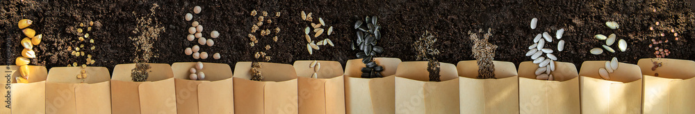 Seeds in bags on the soil. Selective focus.