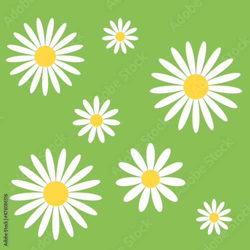 seamless pattern of white daisies on a green background