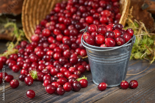 A small metal bucket filled with fresh cranberries stands on a wooden table, cranberries are scattered nearby,
