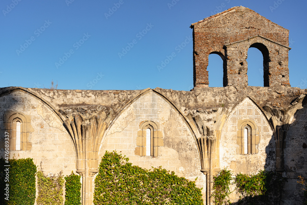 Old ruins of the Coria convent or San Francisco El Real covered by climbing plants at sunrise, Trujillo, Caceres, Spain