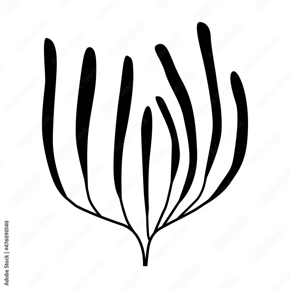 Seaweed on a white background, silhouette logo Seaweed on a white background, silhouette logo